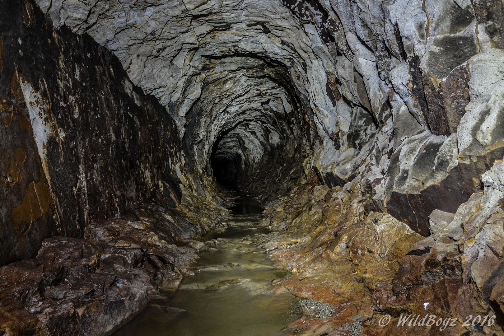 Burford's Batcave, Brisbane December 2015 Oblivion State Urban